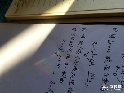 【初冬印象】+冬日暖陽