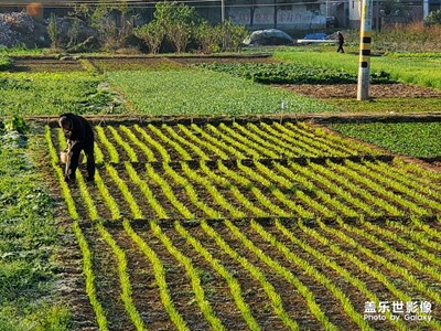 藝術(shù)大師