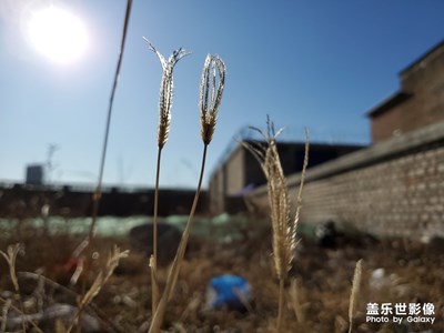 冬日 故鄉(xiāng) 晴