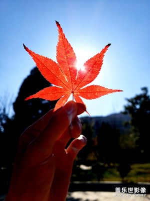 云南鶴慶黃龍?zhí)?，保證你的手機(jī)全是藍(lán)屏