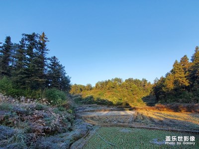 冬日清晨
