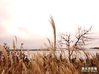 不一樣的冬季