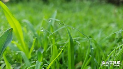 【色彩】+身邊的色彩