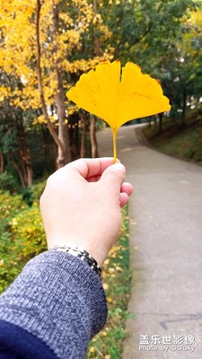 【色彩】+初冬的暖色調(diào)