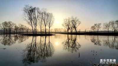 【2019最美瞬間】冬日倒影