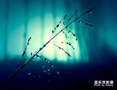 幽靜