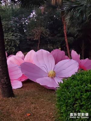 公園新貌