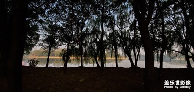 [2019最美瞬間]武漢