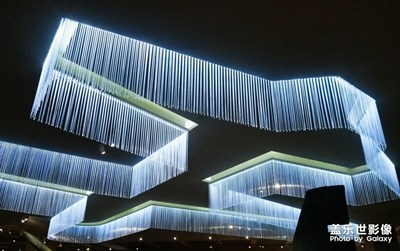 【2019最美瞬間】線條美