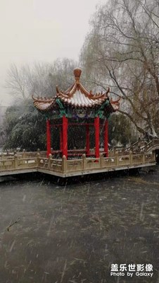 雪景