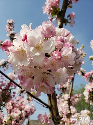 春暖花開(kāi)