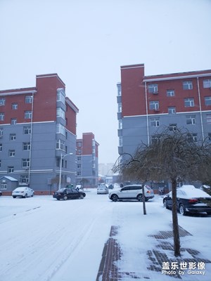 小區(qū)里面的雪