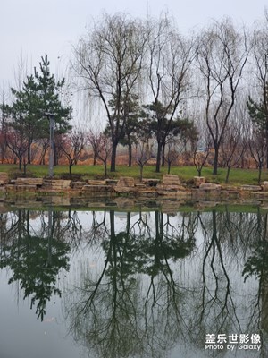【2019最美瞬間】今日中雨
