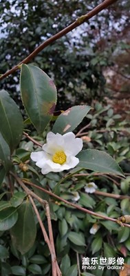 隨遇