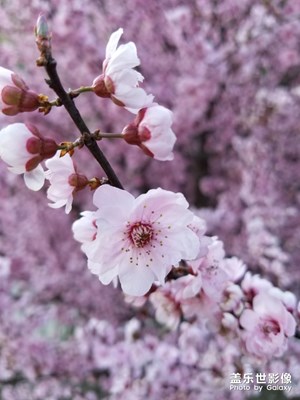 【2019最美瞬間】+我的最美瞬間