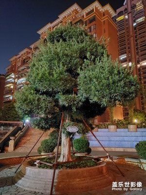 [最美瞬間]2019年