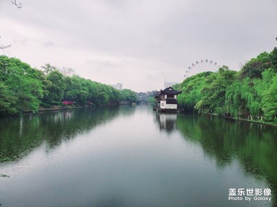 【2019最美瞬間】游·園景，風(fēng)光無限美