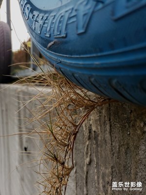 2019年12月s9+隨手拍