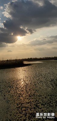 杭州灣濕地公園