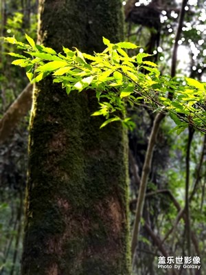 大山里的風(fēng)景美如畫