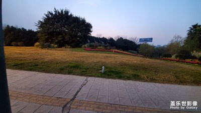 夜歸