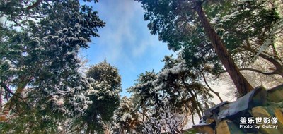 2020年北京第1場雪。