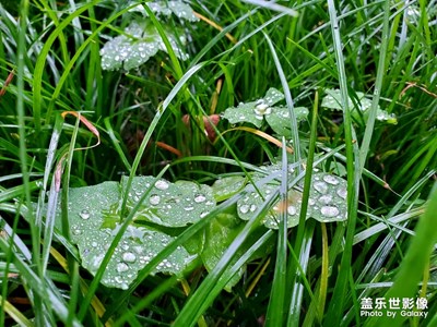 雨后