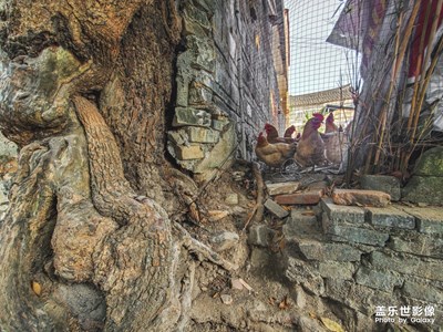 旭日古村落隨手拍