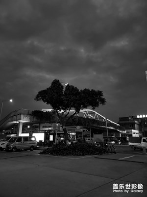 久居一城，只等一人