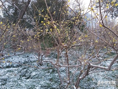 小雪過(guò)后公園