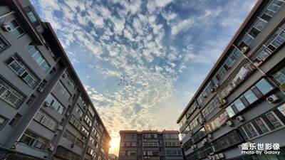 隨手一拍