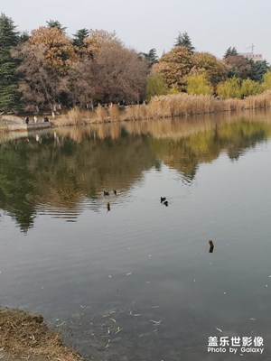 冬日下午