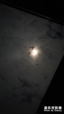 【明亮的夜】不一樣的夜