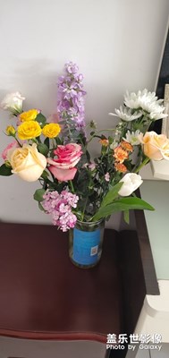 【鼠年吉祥】+祝偉大的祖國繁榮昌盛