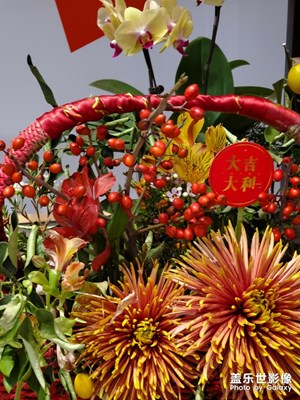 大吉大利，今晚吃雞