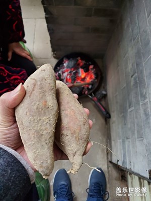 【我的年夜飯】現(xiàn)烤紅薯