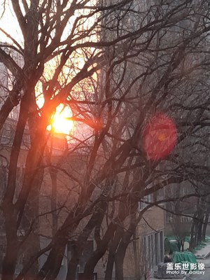 【繽紛世界】朝陽