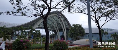 金鼠年兇惡的病毒