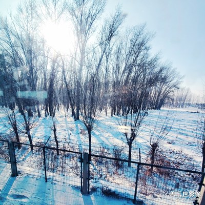 瑞雪兆豐年，遠(yuǎn)離疫情！