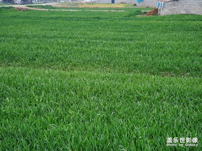 民材生活??????????????????