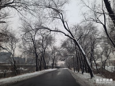 隨手拍