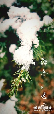 深冬，遲雪