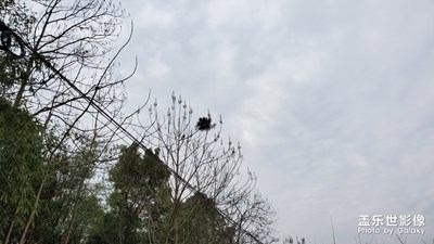 我家在農村