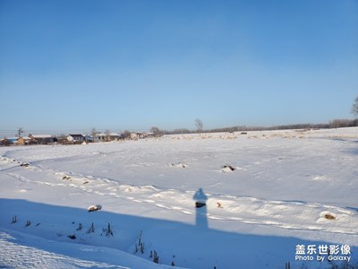 【鼠年吉祥】+以往不同的年，武漢加油