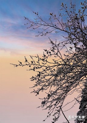 [新春]+冰雪融化