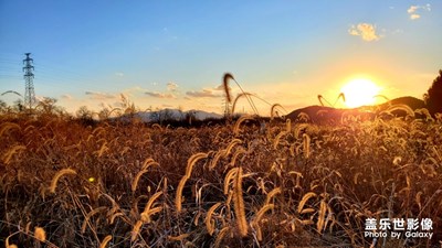 村子封了，但景色還在
