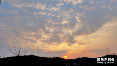 勝日尋芳泗水濱，無(wú)邊光景一時(shí)新