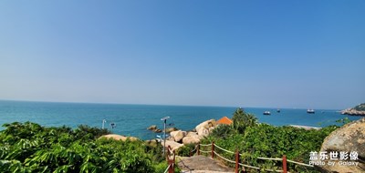 宅在家，看看夏日時的風景