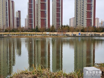 小鳥(niǎo)兒很快樂(lè)了??????????