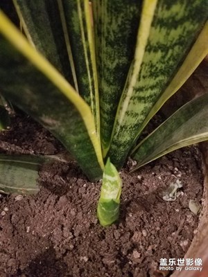 【我的生活】+ 蝸居家中